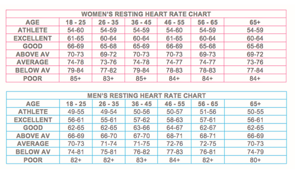 Heart Rate Vs Blood Pressure Chart Are You Normal Check Your Blood